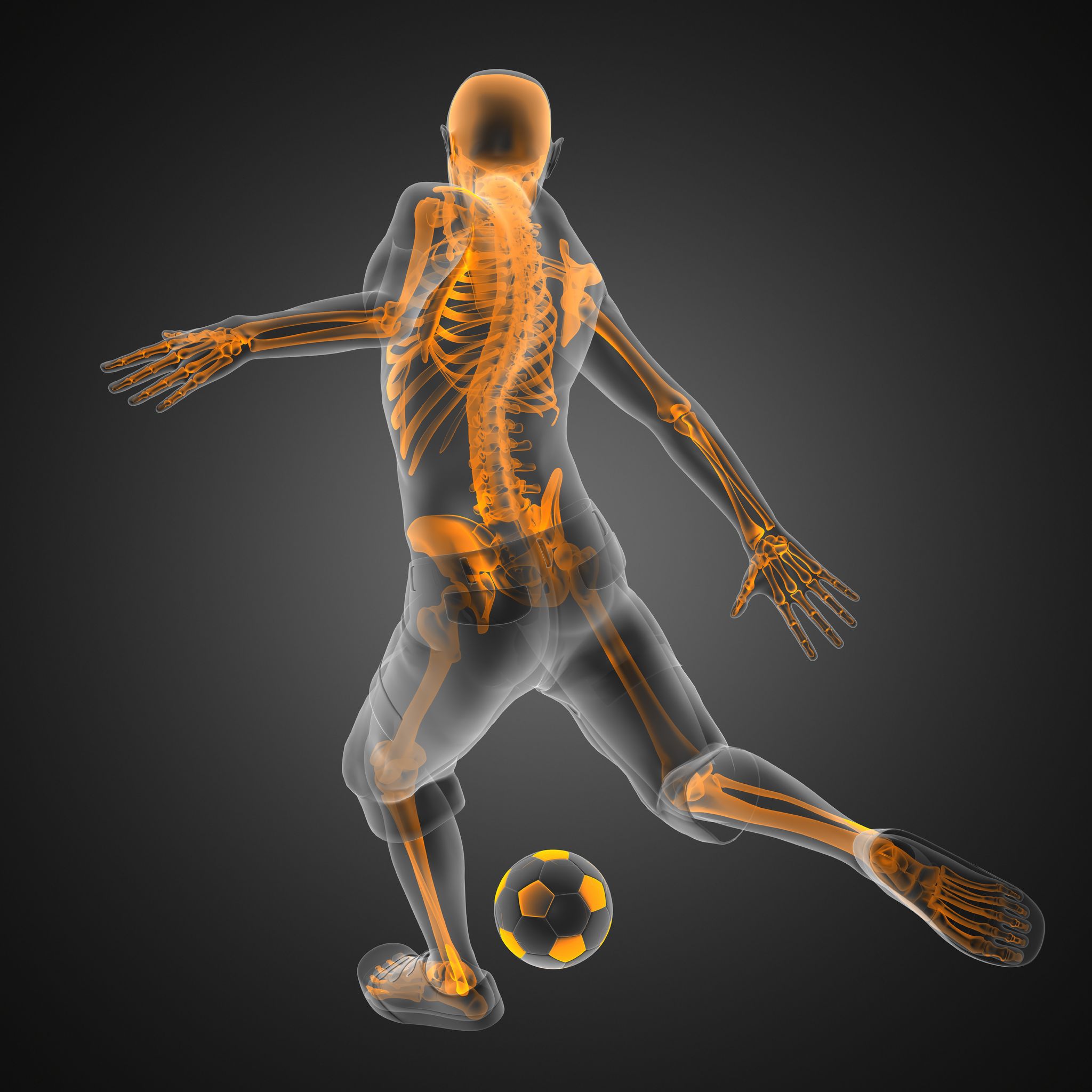 soccer skeleton